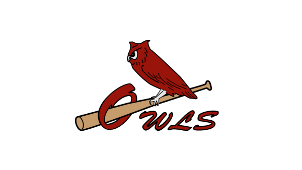 AFOwlsBaseball's tweet photo. Owls summer baseball meeting for parents and players this Thursday.  https://t.co/fGQSbSNHPn https://t.co/dctPXISNbx