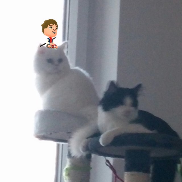 Niklas446's tweet photo. #Miitomo #Miifoto https://t.co/IZydSEUDan https://t.co/yqBn5O7mWQ