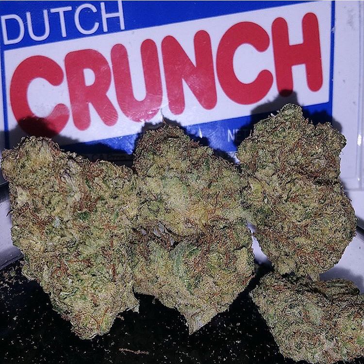 FortuneWellness's tweet image. #DutchCrunch $15/g