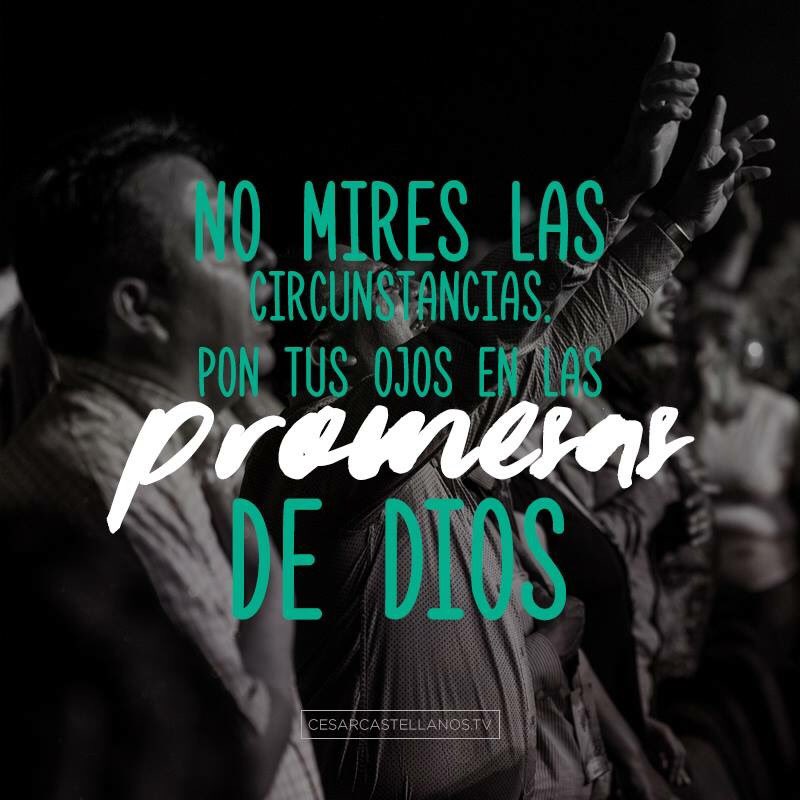 cesarcaste's tweet photo. No importan las circunstancias que estés viviendo, tan sólo DI LA PALABRA y verás el milagro de Dios. Mateo 8:8 https://t.co/FXYH50fCj8