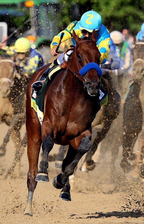 Lisa42482520's tweet photo. 1 yr ago at The Kentucky Derby! The making of history began!! American Pharoah! #champAP 🏇👑👑👑🏆 https://t.co/wjDMFKDEc6