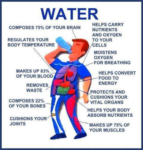 UTHealthInsGuy's tweet photo. #HealthTip Hydrate daily! You should drink between half an ounce and an ounce of water for each pound you weigh. https://t.co/iS5qS92tom