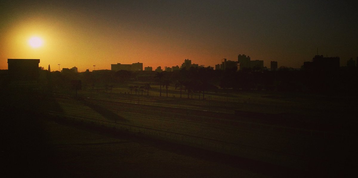 RedWallSA tweet picture