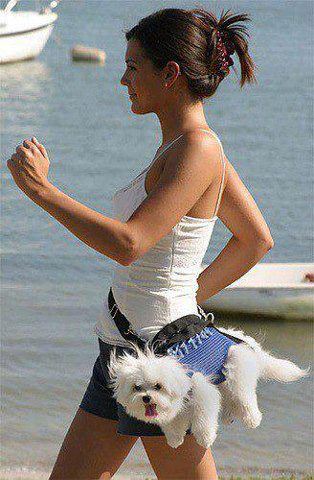 juzzwaves's tweet image. 