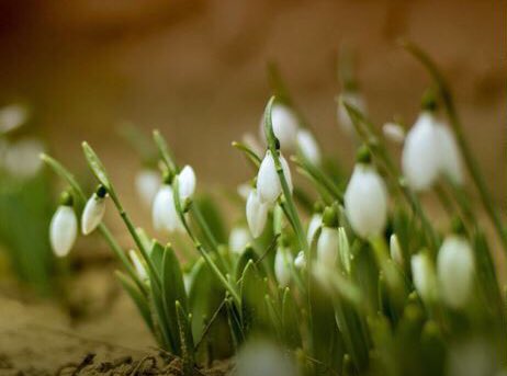 앉았다 떠난자리에 꽃피듯 은은한 향내나는 그런 고운사람으로 살아가고 싶다.