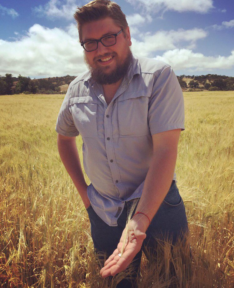 The barley field is almost ready to harvest. #estatebeer coming soon!