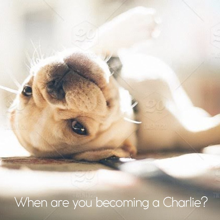 GetMeCharlie's tweet photo. It's time you tell people what to wear. Sign up to become a Charlie today. #GetMeCharlie #Influencer #Style #Fashion https://t.co/1I4QcFR1cZ