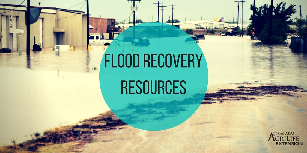 txextension's tweet photo. Affected by Flooding in Texas? Dry Out Before Rebuilding. View Flood Recovery Resources: https://t.co/aC3GRDh99a https://t.co/7FAA6rSENQ