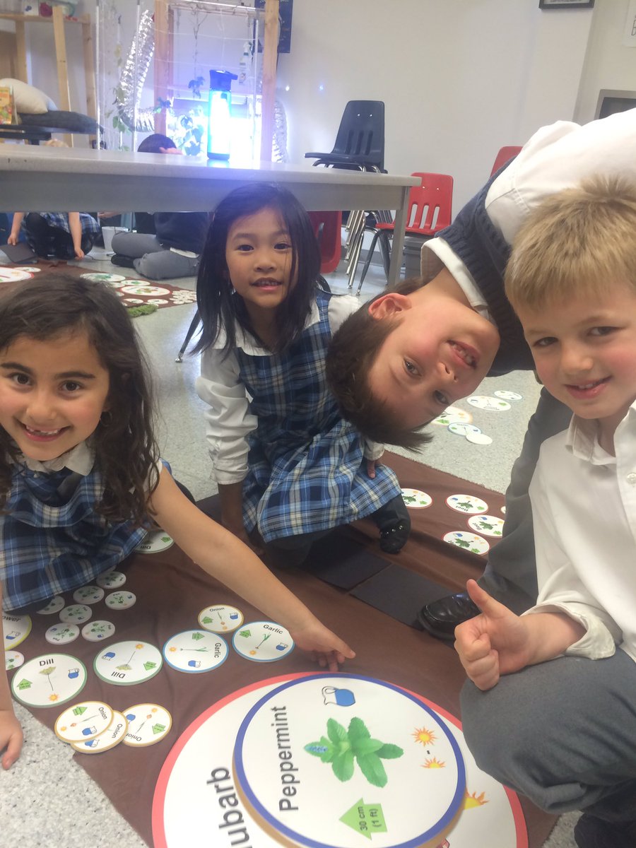 ccbadge's tweet photo. Learning about gardening is fun in grade 1! 🌱 #gr1science #needsofplants @rvssocial https://t.co/hIbiPez5xX