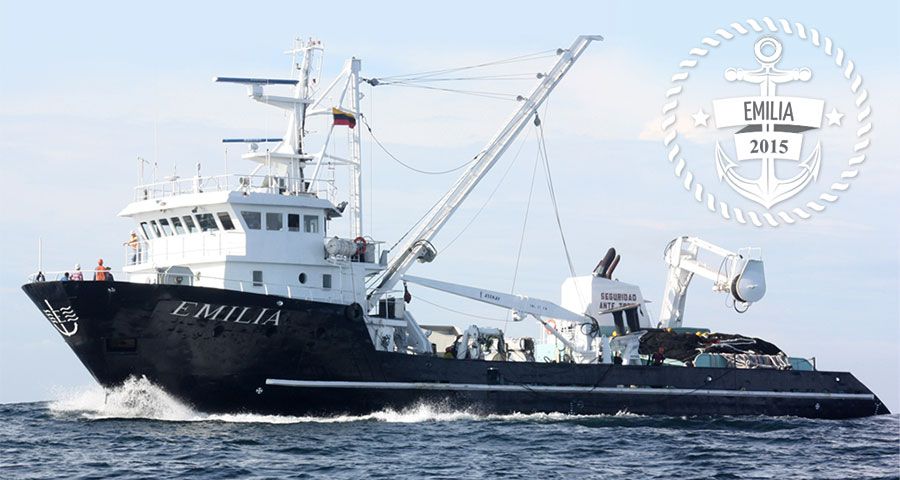 ServigrupEc's tweet image. Poseemos una moderna flota de barcos pesqueros de gran capacidad: Todos de bandera ecuatoriana #Servigrup