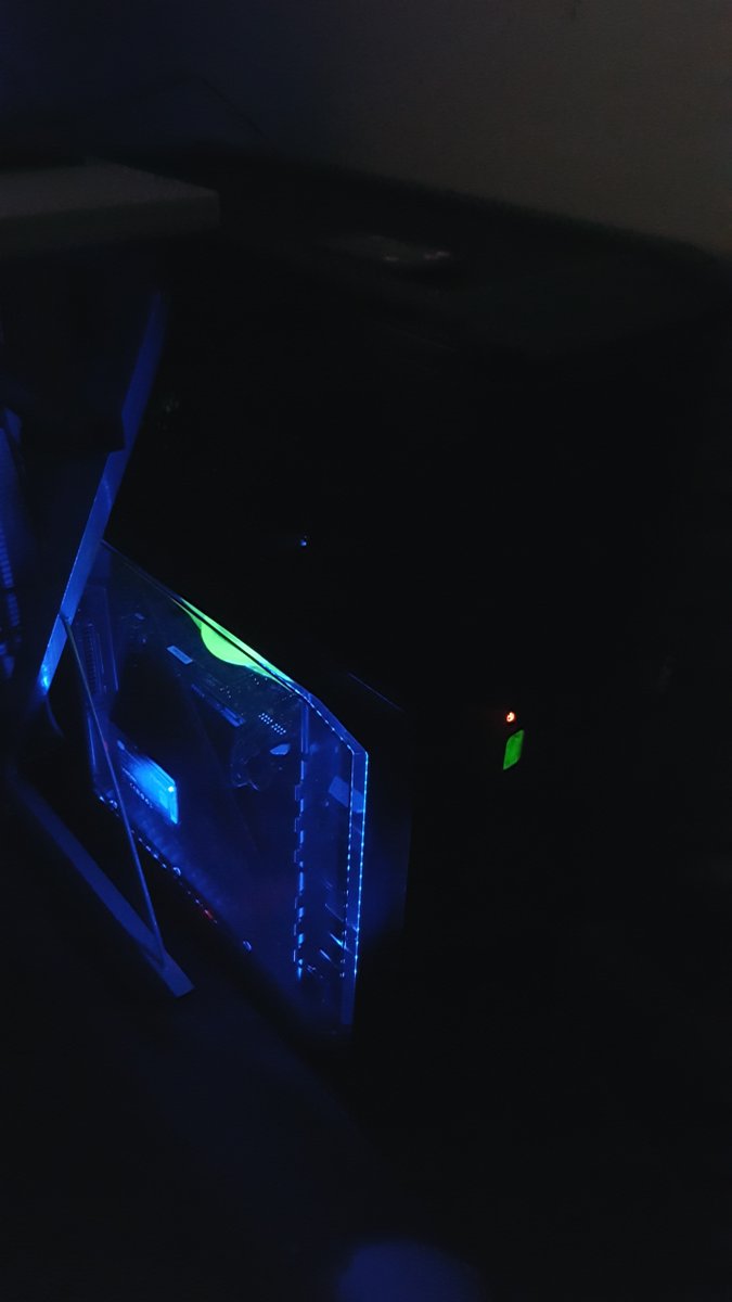 WildWolf109 tweet media