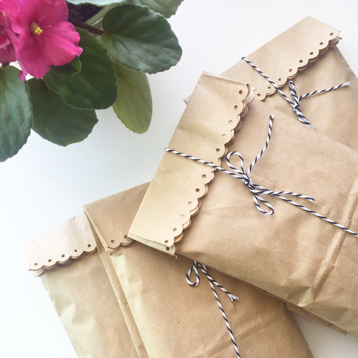 enviteDesigns's tweet photo. Lots of pretty packaging going on today! ๐ #enviteDesigns #packaging #birthdaycards #Amazonprime #findusonAmazon https://t.co/4LXejCR2mo