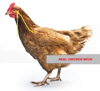 drChangHealth's tweet photo. Your head should sit on top of neck for optimal nerve and blood flow to brain. #kinkedneck #stiffneck https://t.co/51vMCcMJWV