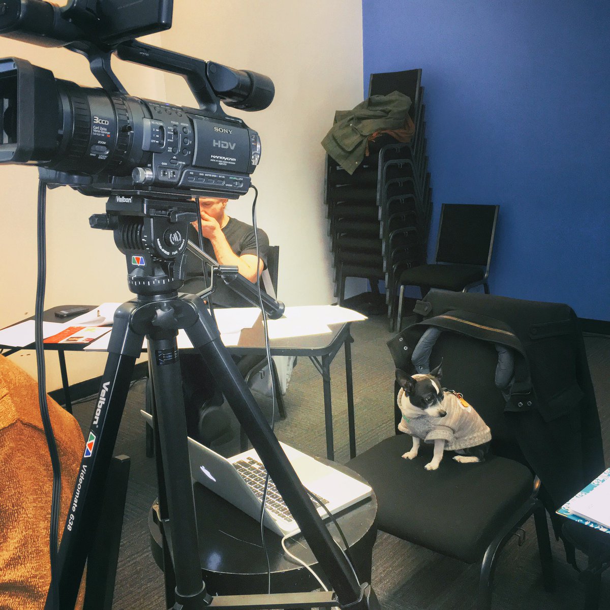 lizlewiscasting's tweet image. His new trick is pressing "RECORD." #MyPetIsWeird #Leopold #CastingDog