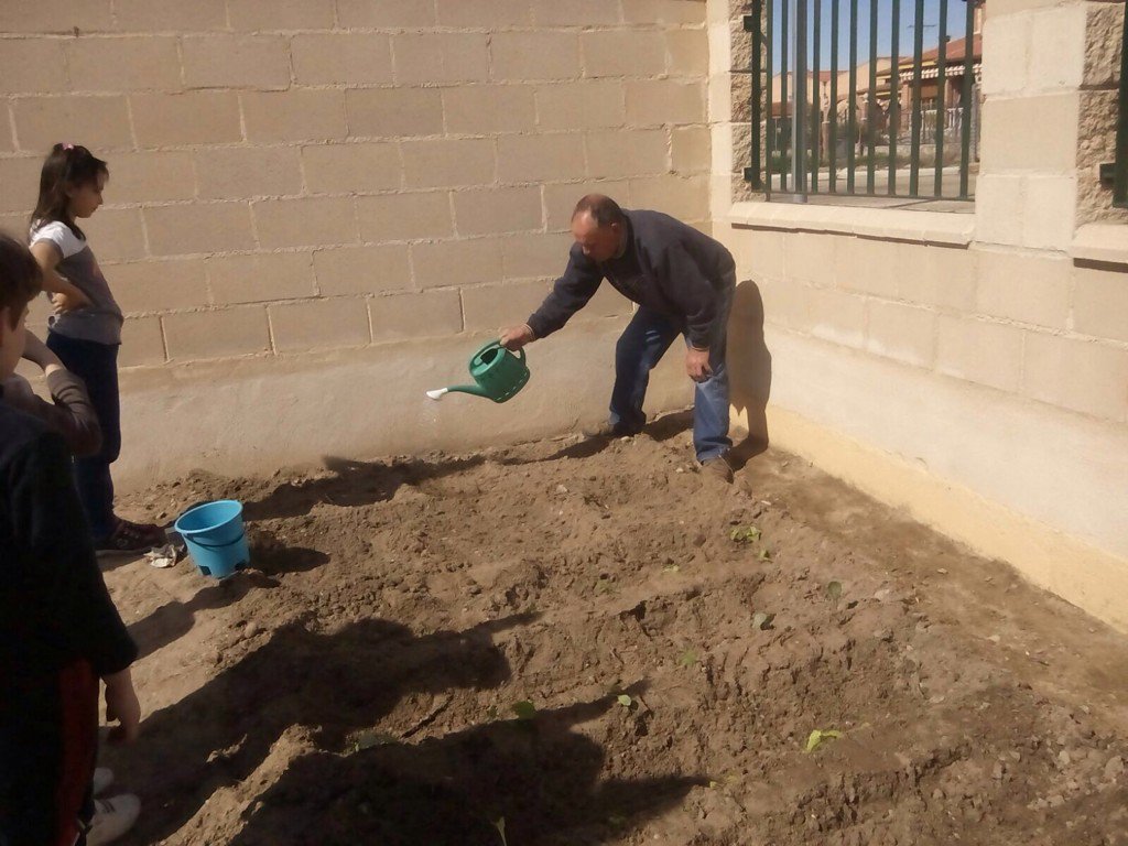 cra_villa's tweet photo. Ya tenemos huerto en nuestra escuela de Pesquera. Gracias a los colaboradores https://t.co/yaQoOYUKtp