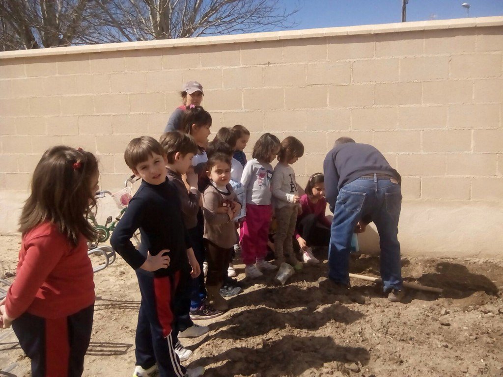 cra_villa's tweet photo. Ya tenemos huerto en nuestra escuela de Pesquera. Gracias a los colaboradores https://t.co/yaQoOYUKtp