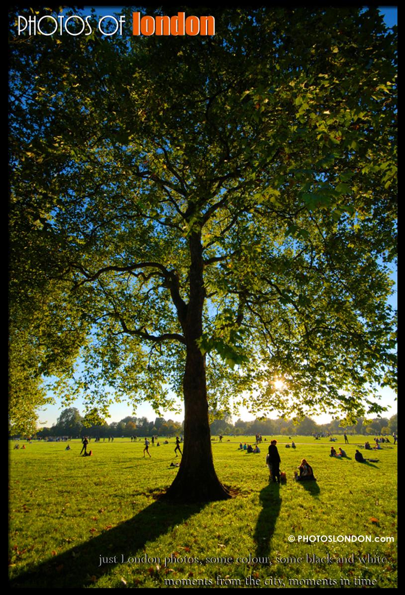 photoslondon_ tweet picture