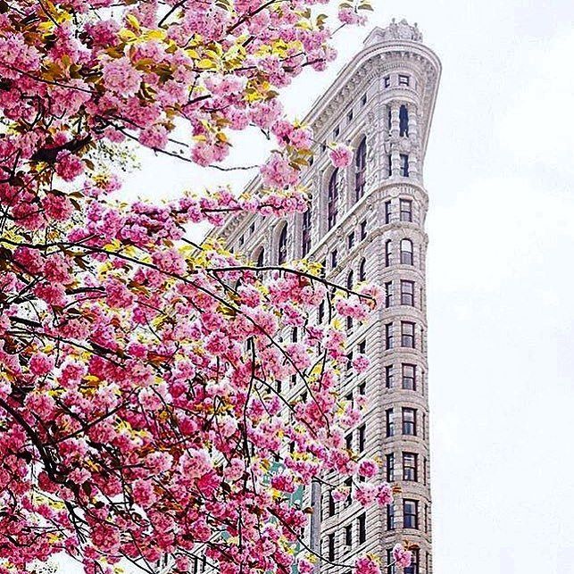 🌸 Flatiron Florals 🌸