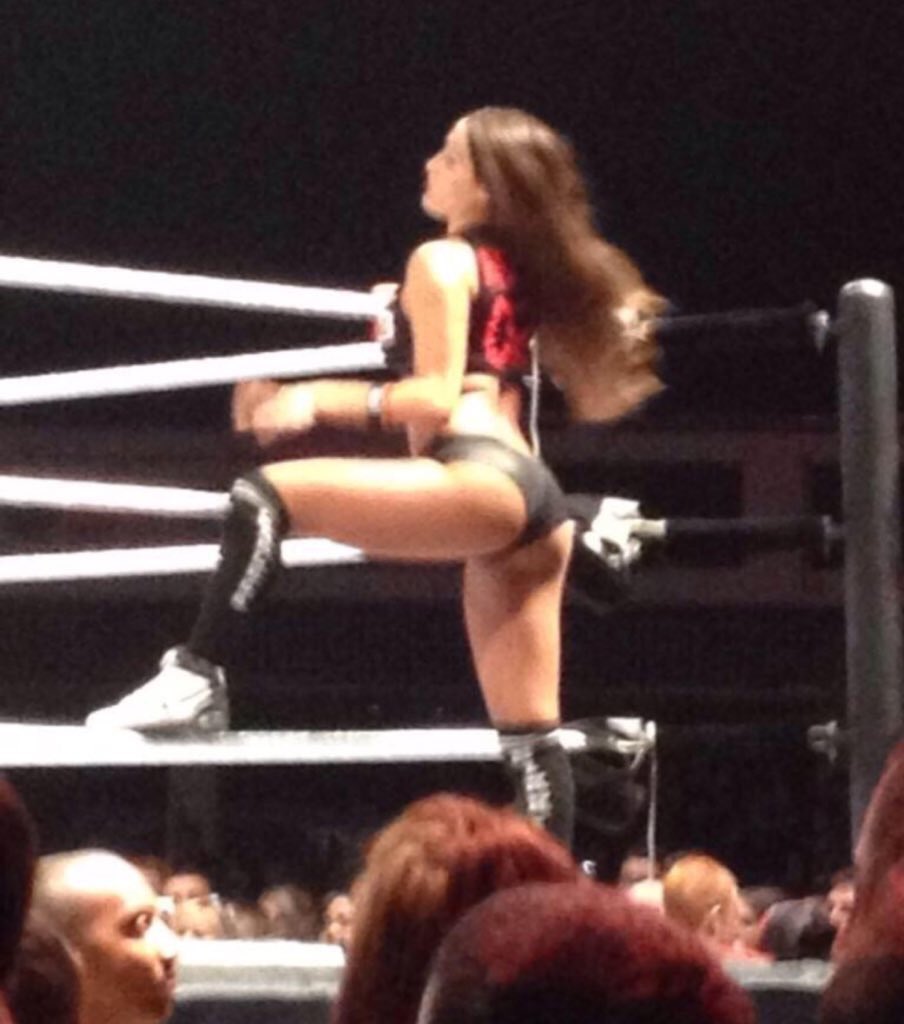 Nikki Bella's Ass on Twitter: "Nikki needs to return ...