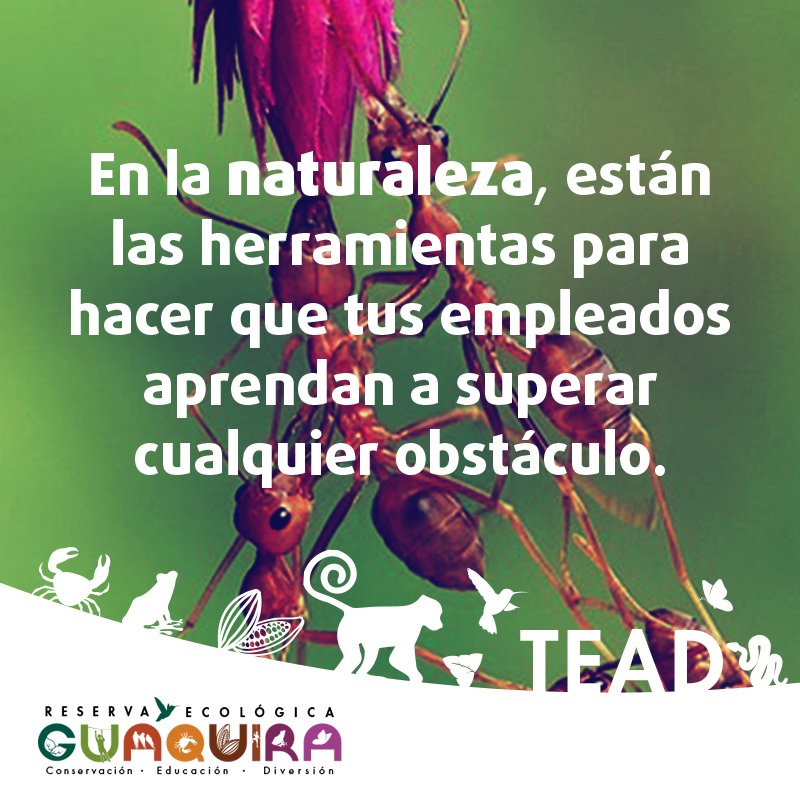 tubeneficioLab tweet picture