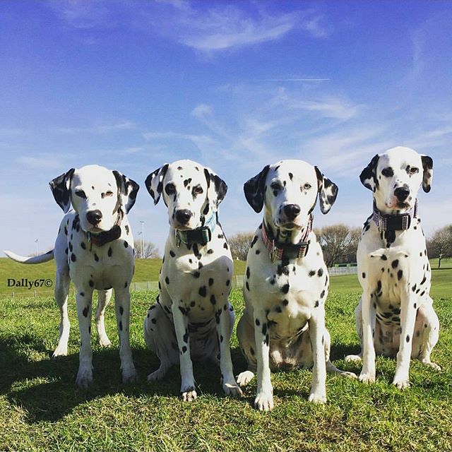 5randompics's tweet image. 