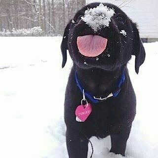 5randompics's tweet image. 