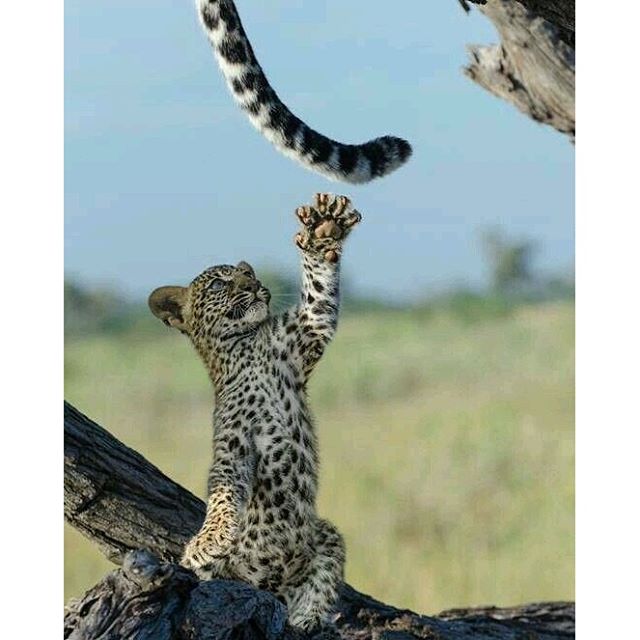 5randompics's tweet image. 