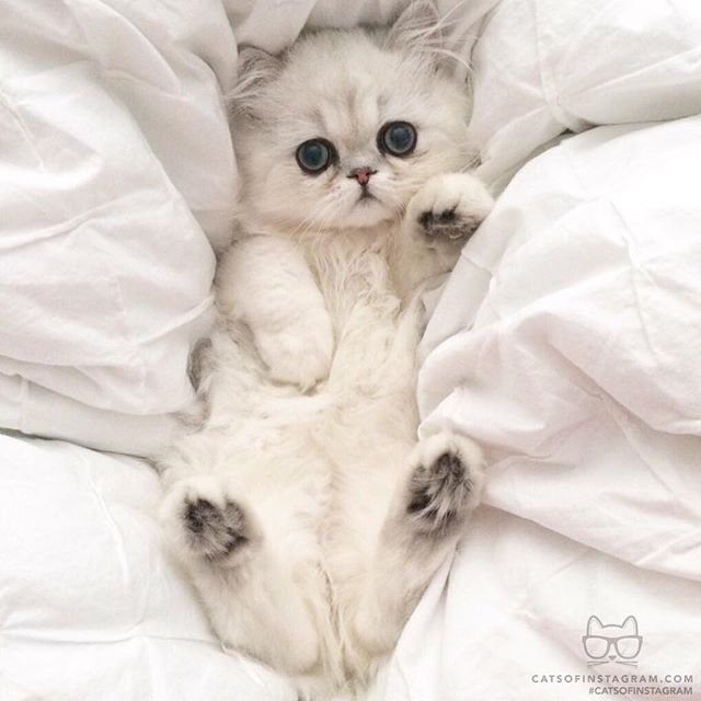 5randompics's tweet image. 