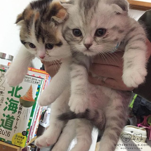 5randompics's tweet image. 