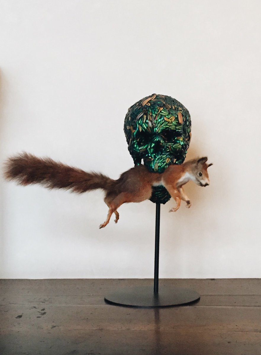 dcm_weirdo's tweet photo. Jan Fabre replaced Jeff Koons at Palazzo Vecchio 👌🏻 #contemporaryart #firenze #inflorence #piazzadellasignoria https://t.co/2f2ppfrCEn
