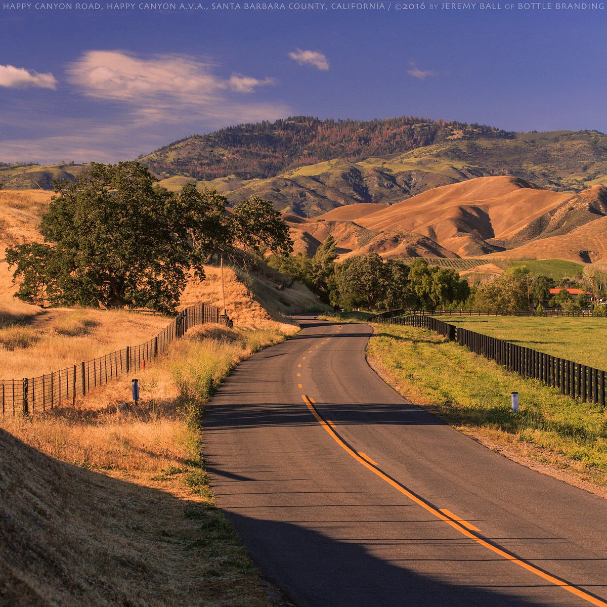Happy Cyn. Rd. in #HappyCanyon. Gorgeous #Bordeaux &amp; #Rhone varietals! #SantaBarbara #California #SBCWine #visitsyv