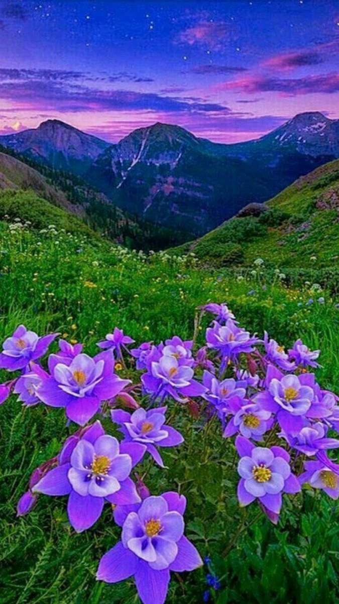 RT <a href="/a56025299/">동해사람</a>: <a href="/awhan233/">start&end</a> <a href="/youjlni37/">유지나 ♡작가♡</a> <a href="/dowon1023/">차병훈</a> <a href="/yschae3/">UNI(늘벗)</a> <a href="/zero0ne3/">최소한의 삶(Minimal&life)</a>  <a href="/xonjang/">Jang, Heung-Soo</a> <a href="/zjiiKC4Y4jGajya/">금송.강원적폐</a> <a href="/thetop7588/">담비맘</a>   ..매발톱^^