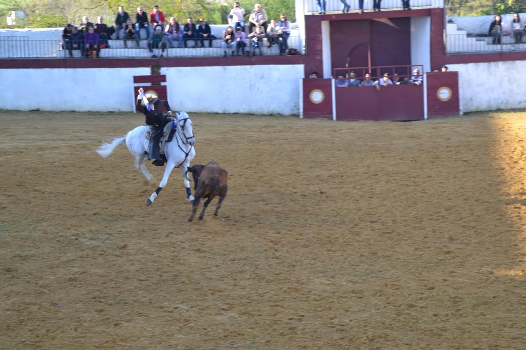 Puebla de sancho perez 23-4-2016