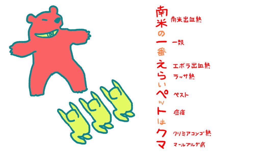 歯科衛生士のための一問一答 Twitterissa 一類感染症の覚え方 南米の一番えらいペットはクマ 南米 南米出血熱 一 一類 え エボラ出血熱 ら ラッサ熱 ペ ペスト ト 痘瘡 ク クリミアコンゴ熱 マ マールブルグ病