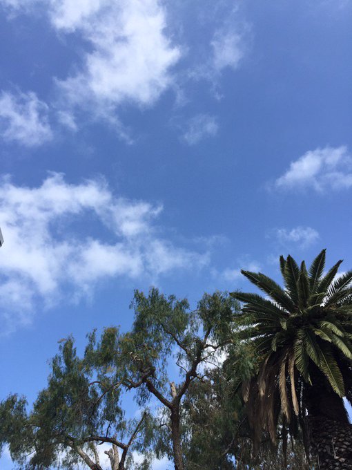 Aftercare is what's up. https://t.co/TkoKeNO6lp<a href="/tag/mvsales"class="tags"><span>#mvsales</span></a>