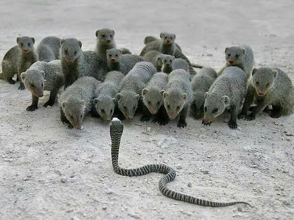 teachergoals's tweet photo. When the staff meeting is almost over and that one person asks a question that requires a 20 minute discussion. https://t.co/zQtqqU37vp
