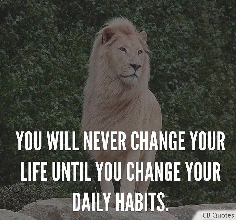 thecustomboxes's tweet photo. #Life #Habits #Quoteoftheday #ThinkingOfTheDay #MotivationalQuote #Quotes #Thinking #TCBQuotes #Printing #Packaging https://t.co/lzs6JsQAaB