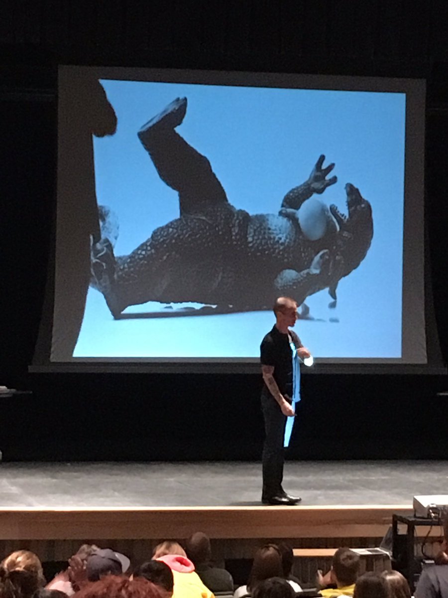 AliYooper's tweet photo. Who doesn't love a giant baby attacking a dinosaur? @AndyGbooks @HarborBtC #treehousebooktour https://t.co/Qyjua7D9bm
