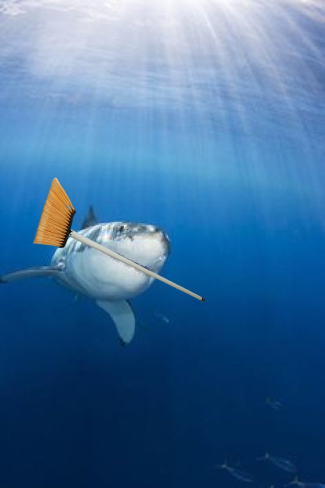 69mangoman's tweet photo. ⚾️ #GiantsSweep 
Samardzija ⚾️ Still waiting for a shark emoji...and a broom. https://t.co/Cd274kUDer