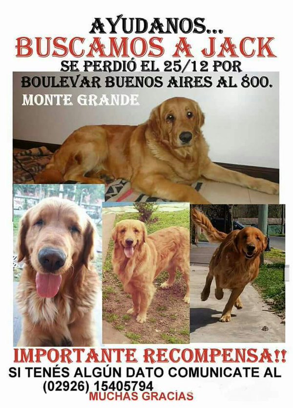 BUSCAMOSAJACK's tweet photo. @06_release BUSCAMOS A JACK #buscamosajack @BUSCAMOSAJACK NOS AYUDAN??? DIFUNDAN! https://t.co/vZvulhFnGL