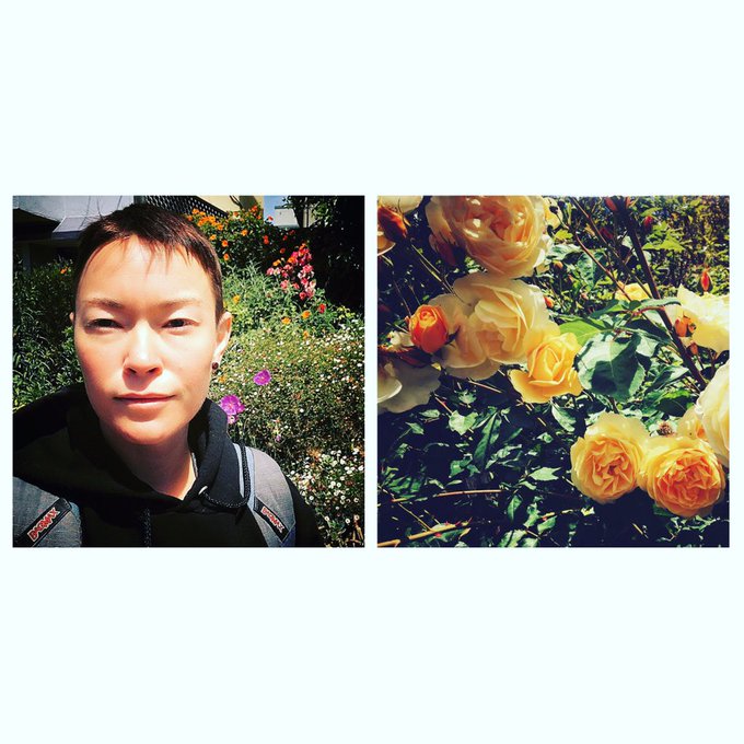 It's glorious outside. Walked to the post office (got a book order from Norway!) and stopped to smell<a href="/tag/booklove"class="tags"><span>#booklove</span></a><a href="/tag/comingoutlikeapornstar"class="tags"><span>#comingoutlikeapornstar</span></a>