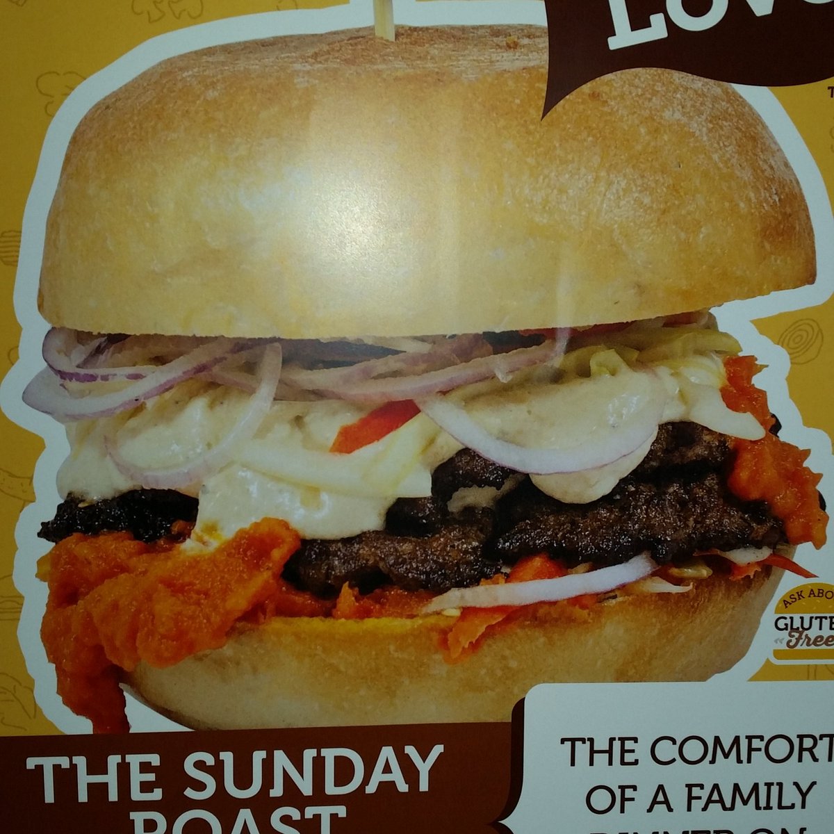 Courtney Zehr (Court_81) Twitter