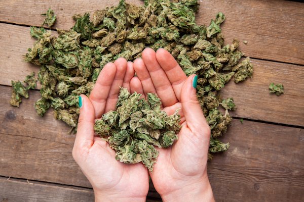 whaxyapp's tweet image. #NewOrleans Mayor Signs Bill to Decriminalize Possession of &amp;lt; 14g of #Marijuana - mmjne.ws/1pXNnqS