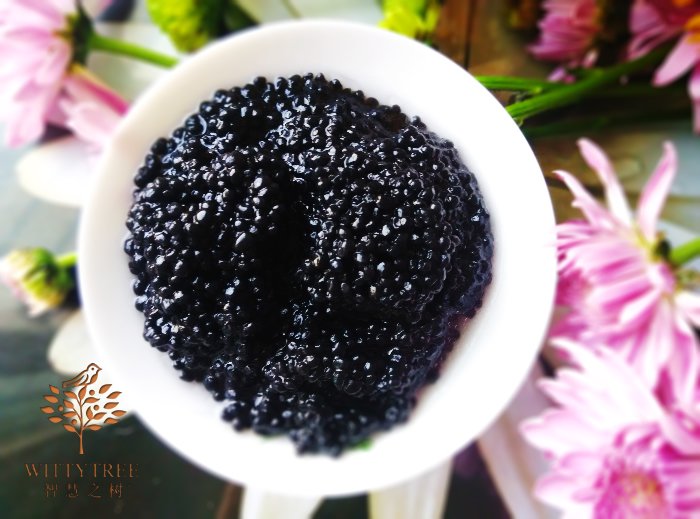 wittytree's tweet image. To Russia, where natural and ultimately, to taste tiramisu and caviar. 到了俄罗斯自然少不了要尝提拉米苏还有鱼子酱。wittytree.com