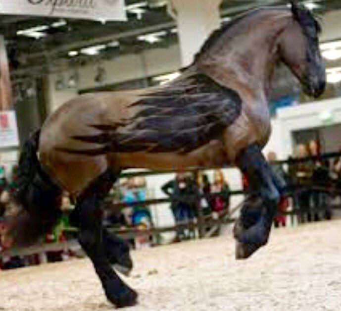 missjmillward's tweet photo. This is my favourite @MissKatiePrice #pegasus #horse #clip #clipforkatie #peta https://t.co/KU8wZKc878