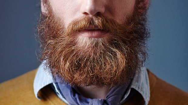 MensJournal's tweet photo. Want a better beard? Try these 6 tricks: https://t.co/idq43rsVsU https://t.co/6zZTx2pZ8U