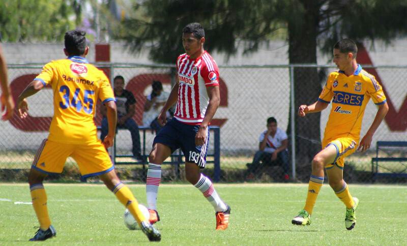 ChivasseraCampe tweet picture