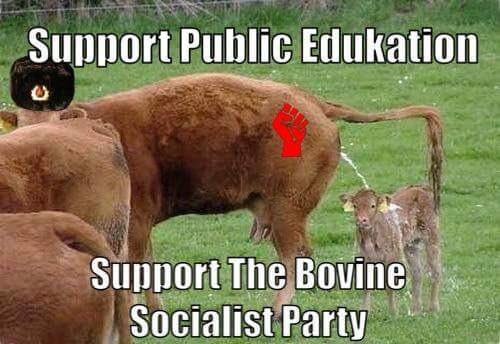 Lolcowmunist's tweet photo. •@usedgov @educationweek https://t.co/sAegqEXc7d