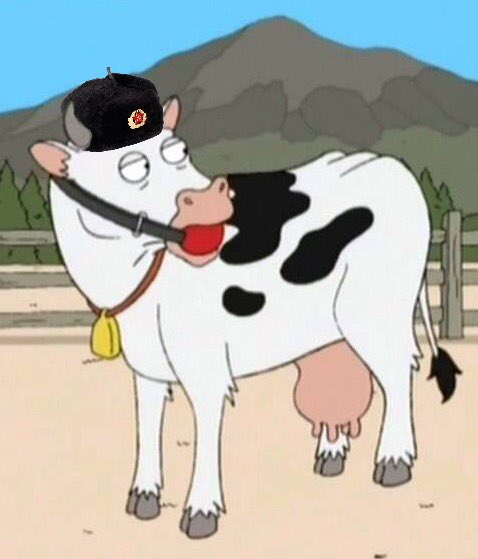 Lolcowmunist's tweet photo. •@politico @realDonaldTrump @FoxNewsSunday Moooooo https://t.co/pZs2dANbR2