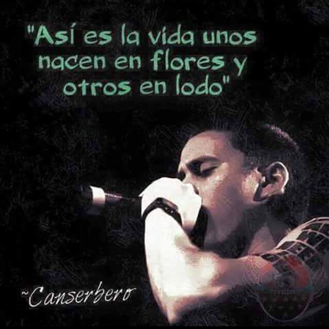 canserberogt's tweet photo. "Así es la vida, unos nacen en flores y otros en lodo." https://t.co/dTjBIJEjMl